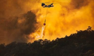 Orman Yangınlarıyla Mücadelede “Rezerv Güce” Yerli ve Millî Üretim Desteği