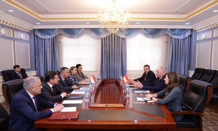 Meeting of the First Deputy Minister with the Ambassador of Austria