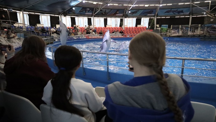 В Нижнем Новгороде «Единая Россия» организовала для детей из реабилитационного центра экскурсию в дельфинарий
